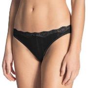 Calida Trosor Etude Toujours Low Cut Brief Svart bomull Medium Dam