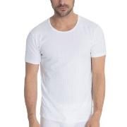 Calida Pure and Style T-shirt Vit bomull X-Large Herr