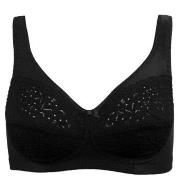 Damella BH Classic Soft Lace Bra Svart C 85 Dam