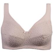 Damella BH Classic Soft Lace Bra Puder C 85 Dam