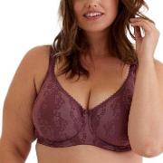 Swegmark BH Adamo Padded Soft Wired Bra Plommon C 75 Dam