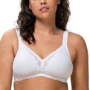 Triumph BH Modern Lace Cotton Soft Bra Vit E 95 Dam