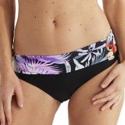 Damella Veronica Tropical Tai Bikini Brief Lila/Svart 48 Dam