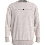 Tommy Hilfiger Icon Logo Relaxed Fit Sweatshirt Beige X-Large Herr
