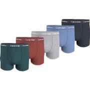 Calvin Klein Kalsonger 5P Cotton Trunks Flerfärgad bomull Small Herr