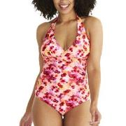 Abecita Haiti Halterneck Swimsuit Svart B/C 46 Dam