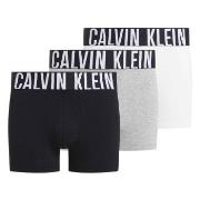 Calvin Klein Kalsonger 3P Intense Power Trunks Vit/Grå bomull X-Small ...