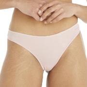 Calvin Klein Trosor Sheer Marquisette Thong Ljusrosa Medium Dam