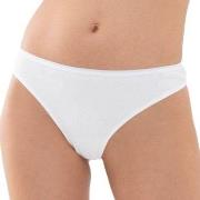 Mey Trosor Organic Cotton Mini Briefs Vit bomull Medium Dam