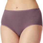 Schiesser Trosor 2P Modal Essentials Midi Briefs Lila/Svart bomull 46 ...