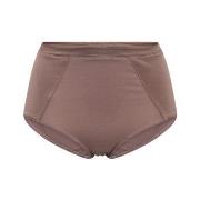 JBS of Denmark Trosor Maxi Brief Rosa Medium Dam