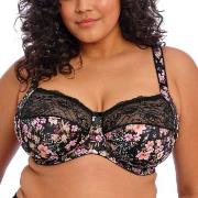 Elomi BH Morgan Banded Bra Svart blommig K 75 Dam