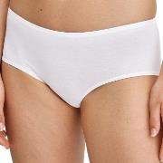 Calida Trosor Essential Cotton Hipster Panty Vit bomull X-Small Dam