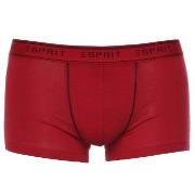 Esprit Kalsonger 3P Cole Hipster Shorts Blå/Röd bomull Small Herr