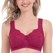 Anita BH Orely Support Bra Cherry nylon H 75 Dam