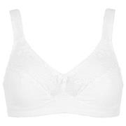 Damella BH Felice Soft Bra Vit bomull C 75 Dam