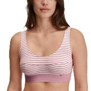 Calida BH Elastic Top Rosa randig bomull X-Small Dam
