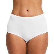 Swegmark Trosor Essence Maxi Briefs Modal Vit modal 2XL Dam