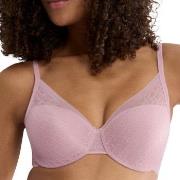 Triumph BH Signature Sheer WHP EX Gammelrosa F 75 Dam