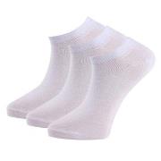 Trofe Cotton Sneaker Socks Strumpor 6P Vit Strl 39/42 Dam