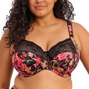 Elomi BH Morgan Banded Bra Blommig M 80 Dam