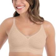 Anita BH Essentials Smart Padded Lace Bralette Ljusrosa X-Small Dam