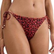 Triumph Midnight Swim Brazilian Bikini Bottom Röd/svart 36 Dam