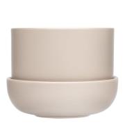 iittala - Nappula Kruka med Fat 17x13 cm Beige