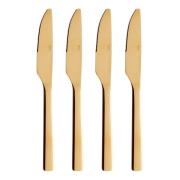 Aida - RAW Matkniv 4-pack Guld