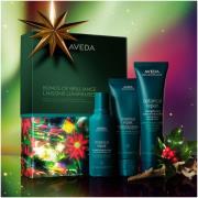 Aveda Bonds of Brilliance: Botanical Repair Strengthening Essentials