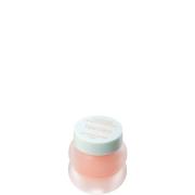 Look Fantastic X Tocobo Lip Set