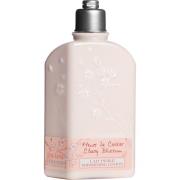 L'Occitane Cherry Blossom Shimmering Lotion - 250 ml