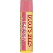 Burt's Bees Lip Balm Pink Grapefruit 4,25g - 4 g