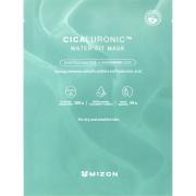 Mizon Cicaluronic Water Fit Mask 24 g