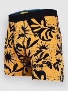 Stance Sun Dust Brief Boxershorts blackbrown