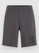 O'Neill Future Surf Society Shorts raven