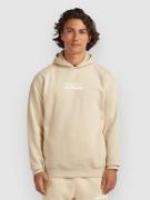 O'Neill The Future Surf Society Hoodie macaron