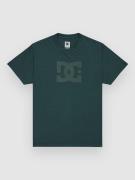 DC Star Pigment Dye T-Shirt ponderosa pine