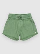 Roxy Scenroutwillrg Kids Shorts basil