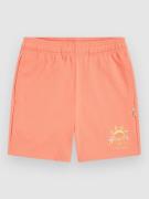 O'Neill Heart Kids Shorts  pink