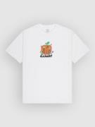 Element Sound Of Nature T-Shirt optic white