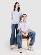 Another Cotton Lab  blue