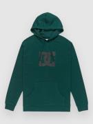 DC Star Hoodie ponderosa pine