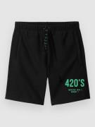 The Dudes Test Subject #1 Green Shorts black