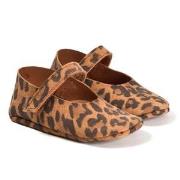 Tocoto Vintage Suede Leopard Lära Gå-skor Bruna 16 EU