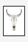 Tavla Cow skull