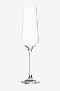 Leonardo - Champagneglas PUCCINI 6-pack - Transparent - Vinglas - Från...