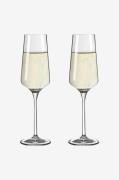 Ritzenhoff - Champagneglas Sonnenschliff 2-pack - Transparent - Vingla...