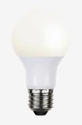Globen Lighting - Ljuskälla E27 LED. Normal Opal, 10W - Vit - Ljuskäll...