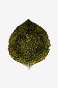 COSTA NOVA - Serveringsfat Hydrangea 22cm - Grön - Uppläggningsfat - F...
